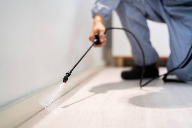 Bed Bug Pre-Treatment Preparation Assessment in Los Fresnos