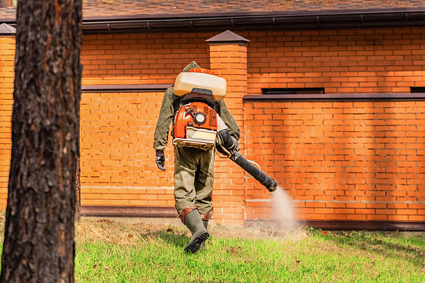 Bed Bug Clearance Verification and Documentation in Los Fresnos